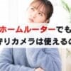 ホームルーターでも見守りカメラは使える？家電量販店で聞いた結果...
