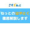 さすガねっと・Nプラン（旧はやとくプラン）の詳細は？他のプランとの違い、開通手順・費用・特典など